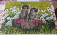 Katzen Puzzle von Ravensburger 194803 - Picknick auf der Wiese Hessen - Wiesbaden Vorschau