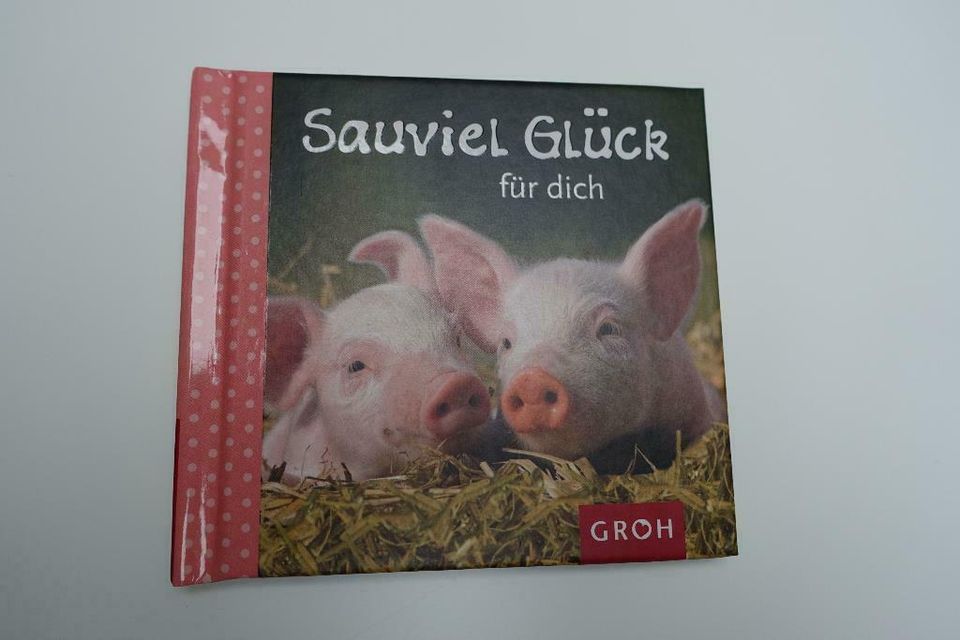 Sauviel Glück Geschenkbuch in Berlin