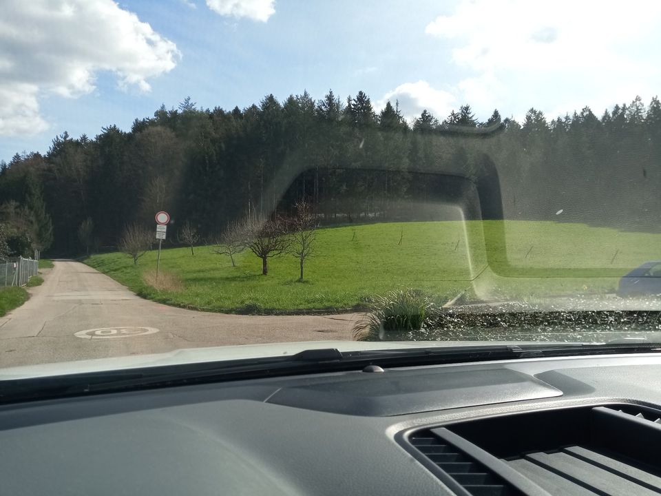 Garten, Wiesengrundstück,Bebauungsland? in Lahr (Schwarzwald)