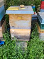 Dadantbeute mit 2 Honigzargen und Bienen Nordrhein-Westfalen - Weilerswist Vorschau