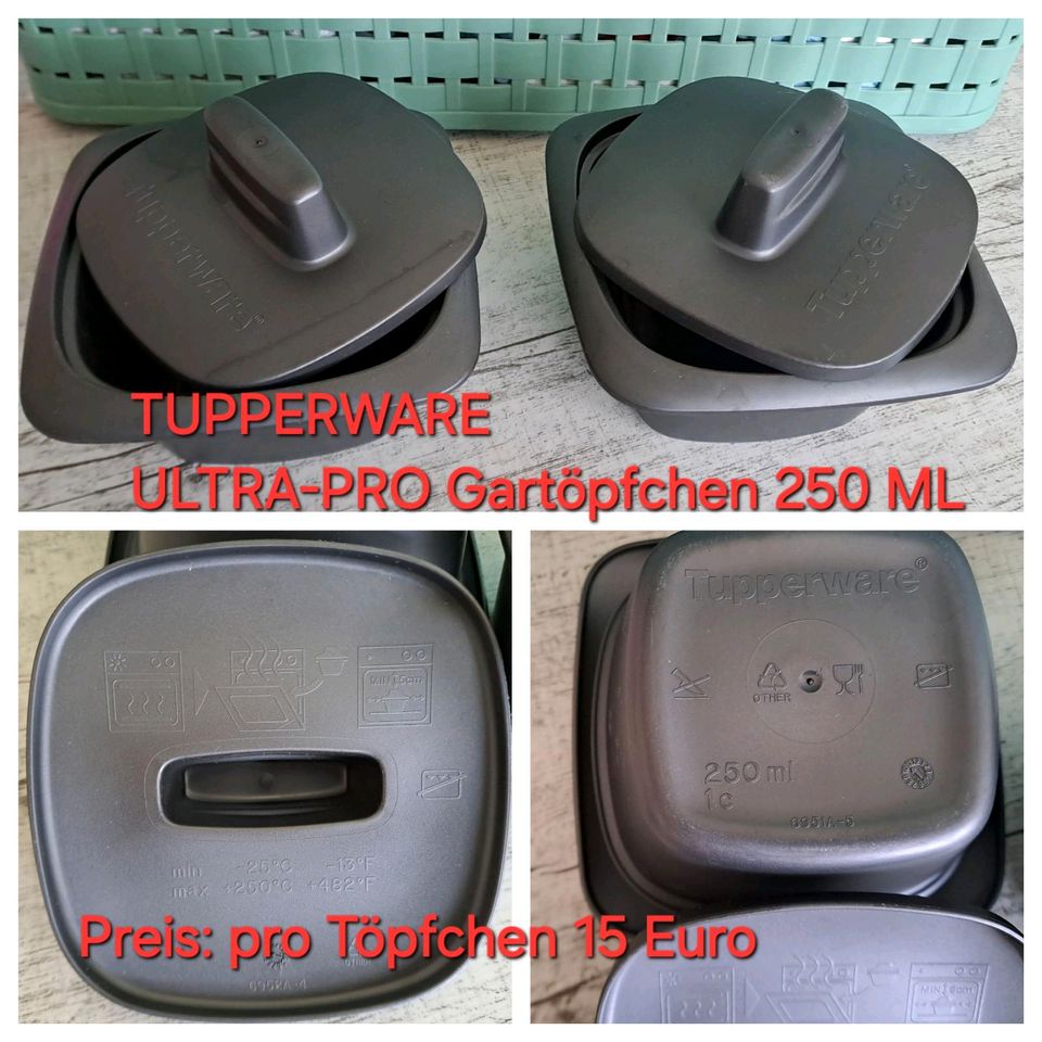 Tupperware Ultra-Pro Gartöpfchen 250 ml in Bad Oeynhausen