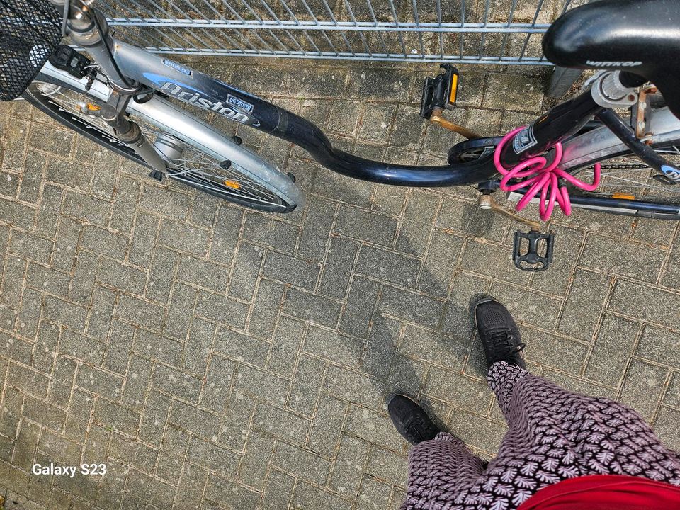 Damen Fahrrad in Ahlen