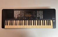 Technics Keyboard SX-KN300 Klavier Piano Nordrhein-Westfalen - Hilden Vorschau