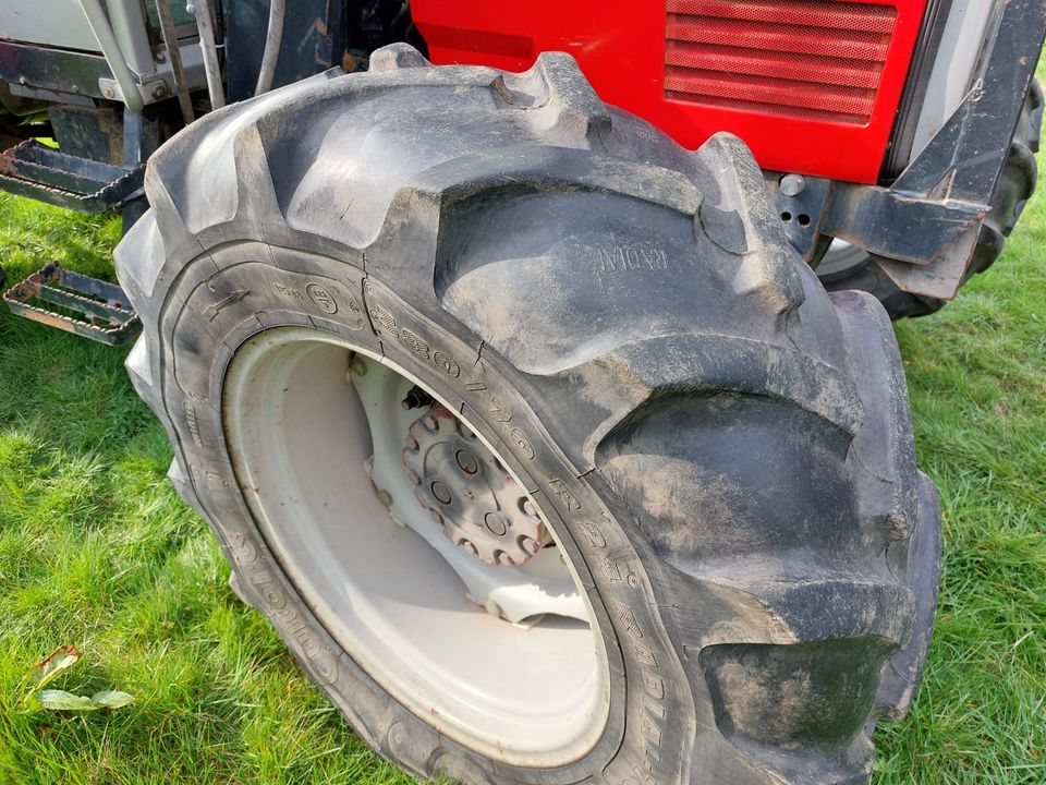 Massey Ferguson MF 3065 Frontlader Stoll in Rosengarten