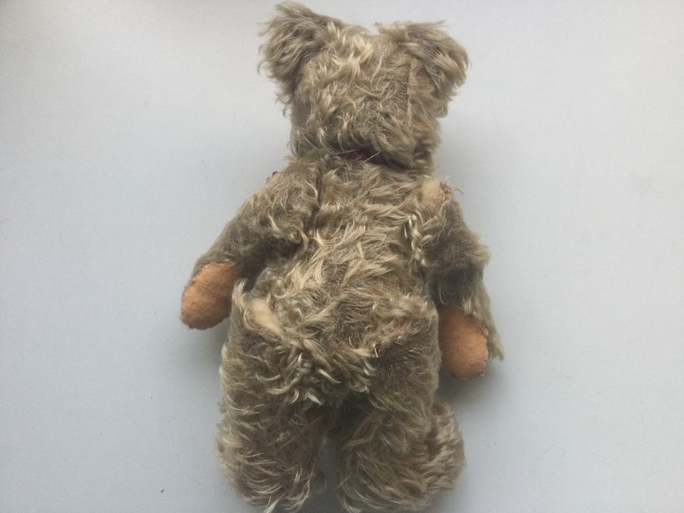 Steiff Plüsch Figur Bär Teddybär Alt ca. 1960 mit roter Schleife in Künzell