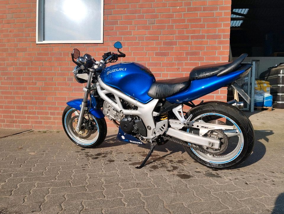 Suzuki SV 650 in Heiden