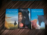 Ostwind Mädchen Bücher Dortmund - Asseln Vorschau