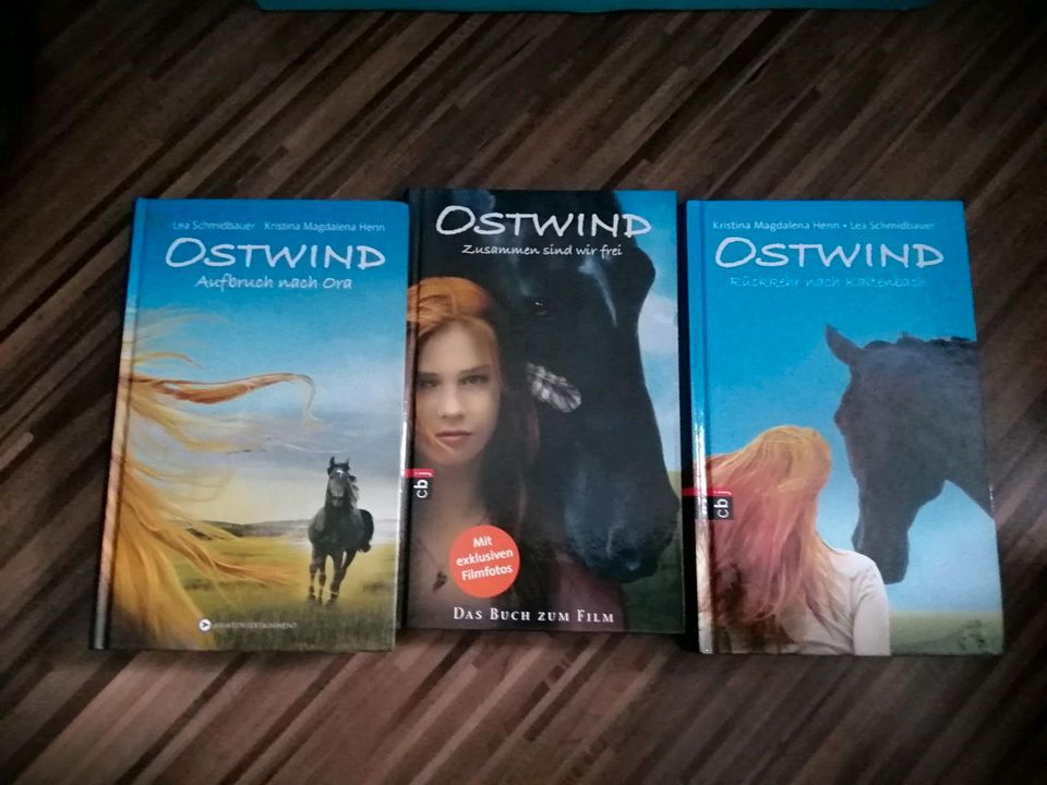 Ostwind Mädchen Bücher in Dortmund