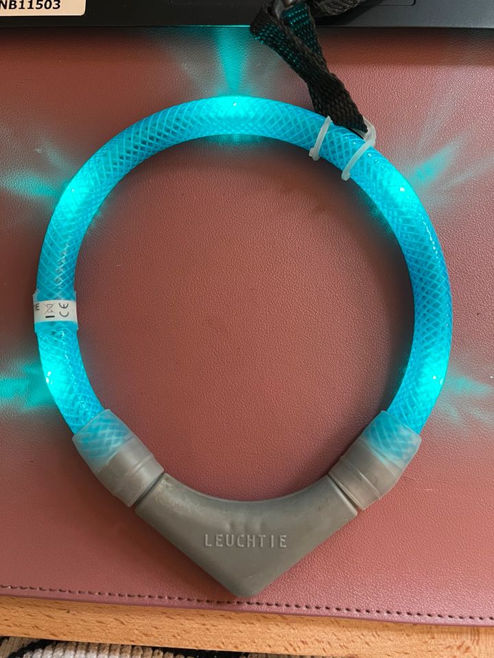 Leuchtie Leuchthalsband blau 13,5 cm in Bielefeld