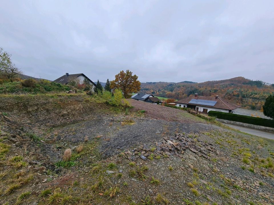 Grundstück Baugrundstück voll erschlossen mit Zufahrstweg in Hatzfeld (Eder)