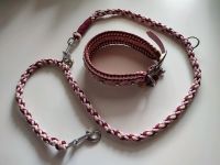 Hundeleine mit Halsband - Unikat Bayern - Schöllkrippen Vorschau