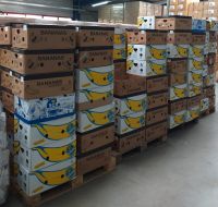 Bananenkarton Bayern - Trautskirchen Vorschau