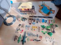 Playmobil Tierwelt Afrikas Bayern - Kaufering Vorschau