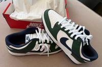 Nike Dunk Low Gr. 46 neu Nordrhein-Westfalen - Detmold Vorschau