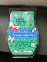 Scentsy Brick cucumber & cactus water Hessen - Lahnau Vorschau