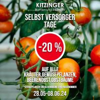 -20 % Rabatt/Obstbäume/Beerenobst/Kräuterpflanzen/Gemüsepflanzen Hessen - Rodenbach Vorschau