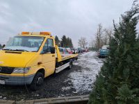 Autoverwertung holt Schrottautos, Unfallwagen, auch Ankauf Brandenburg - Steinhöfel Vorschau