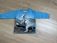 Molo Jungen Shirt Gr. 80 Nordrhein-Westfalen - Herscheid Vorschau