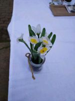 Dekorationen Blume zu verkaufen Rehburg-Loccum - Münchehagen Vorschau