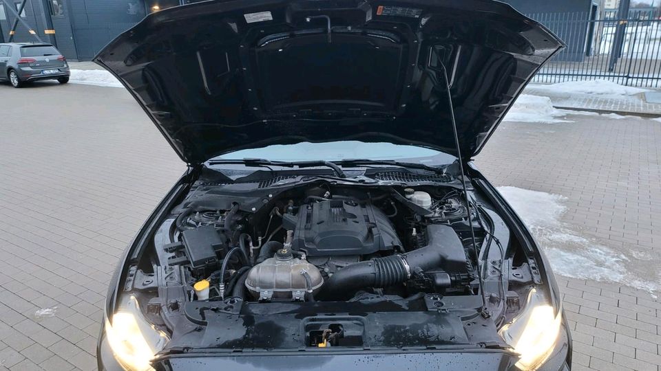Ford Mustang Premium 2.3 231KW (SHELBY GT 500 OPTIK) in Hamm
