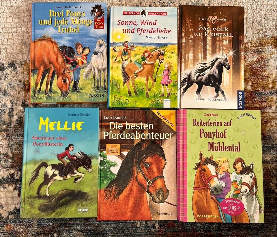 Tolle 6x Pferde Bücher, neuwertig in Ostfildern