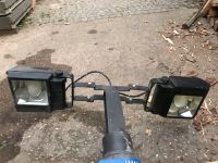 Hoflampe zweiflammig, Hofleuchte, Mastleuchte, Strassenlampe Rheinland-Pfalz - Walsheim Vorschau
