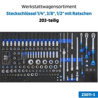 SW-Stahl Z3011-3 Werkzeugsortiment Moduleinlage  1/4“ 3/8“ 1/2“ Thüringen - Saalburg-Ebersdorf Vorschau