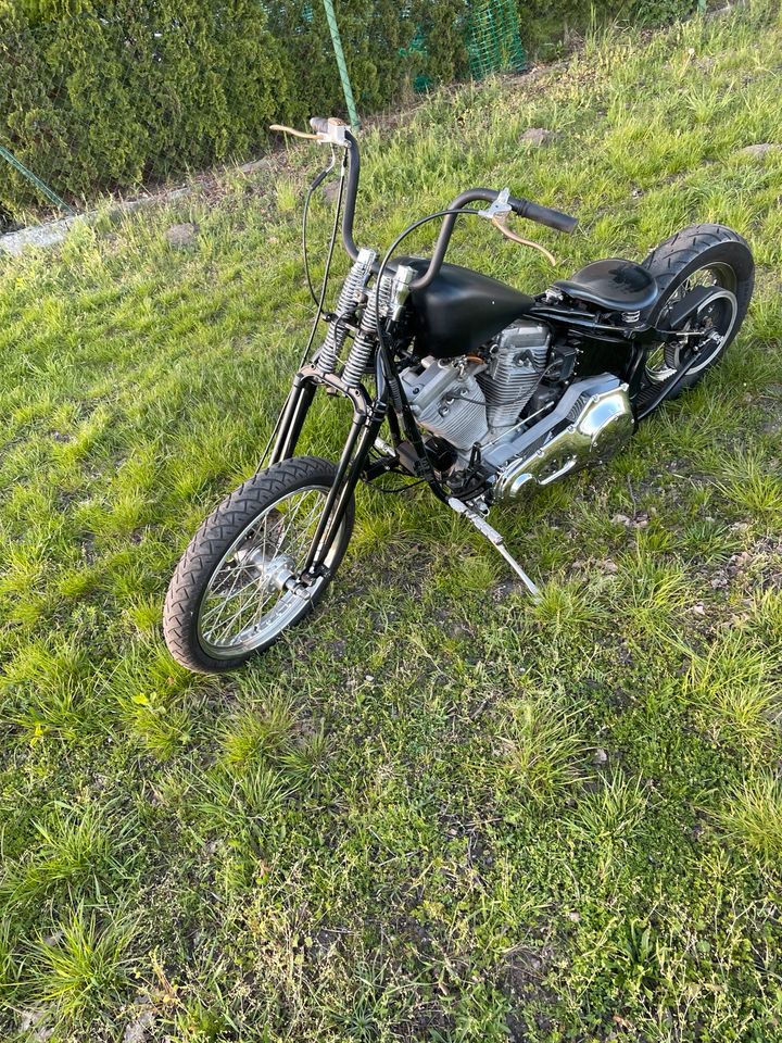 Harley Davidson FXST  Bj 1999 EVO Springer Vergaser in Hoyerswerda