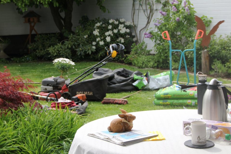 Gärtner,Gärtnerin,Mitarbeiterin,Job, Stellenanzeige,Garten in Kiel