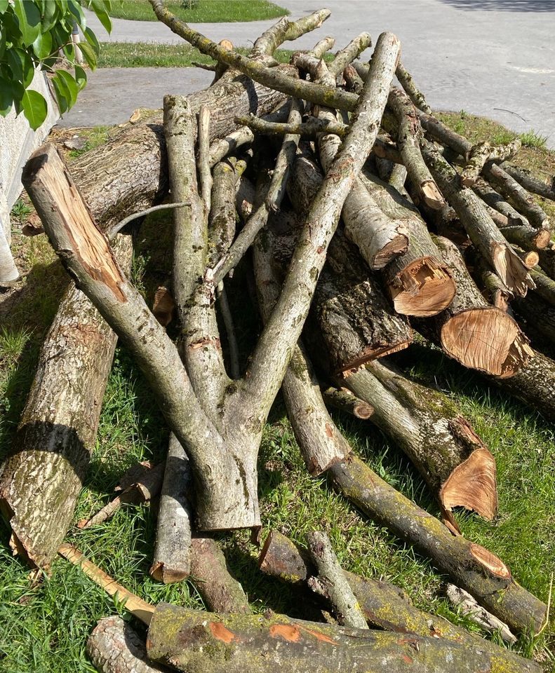 Nussbaumholz zum Drechseln, Drechselholz in Laufen