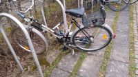 Vintage Classic Bike Fahrrad Tornado 35 €  bei Abholung Freitag München - Trudering-Riem Vorschau