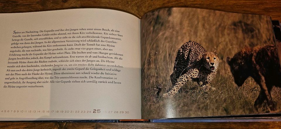 Kalender Afrika Serengeti Buch Tierwanderung Bildband in Damme