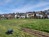 Verein sucht, eine Wiese, ein Acker oder Koppel zum Trainieren Baden-Württemberg - Angelbachtal Vorschau