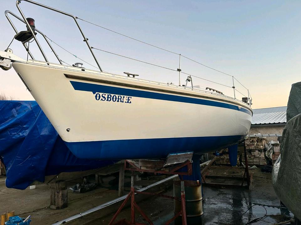 Hanse 291, Segelboot, Segelboote, Segelyacht, Boot, Boote image