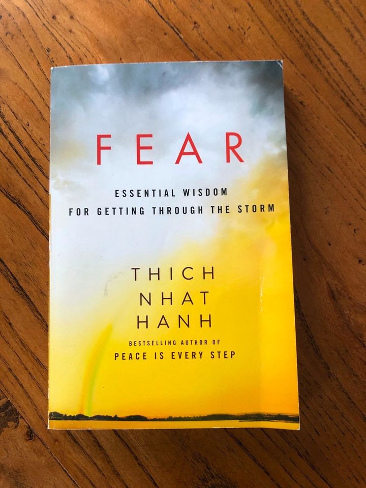 Taschenbuch Thich Nhat Hanh - Fear in englischer Sprache in Neu Wulmstorf