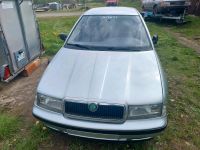 Verkaufe skoda octavia 1999 1.6 benzin teile Herzogtum Lauenburg - Schwarzenbek Vorschau