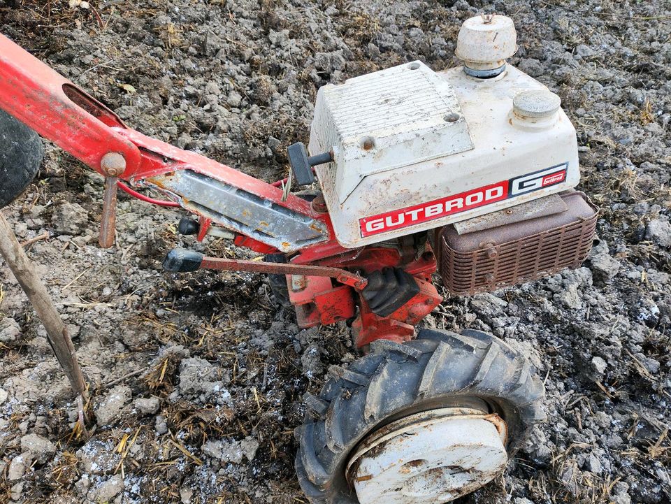 Gutbrod 80 Terra Einachser in Bielefeld