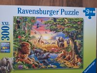 Verschiedene Puzzle 187 bis 900 Teile RAVENSBURGER Baden-Württemberg - Rot an der Rot Vorschau