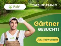 Gärtner / Gartenhelfer in Vollzeit gesucht! Nordrhein-Westfalen - Stemwede Vorschau