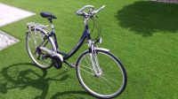 CARVER Damen Fahrrad Citybike Trekkingbike Rheinland-Pfalz - Nierstein Vorschau