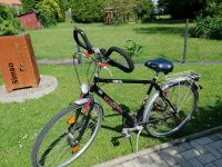 Herren Fahrrad Niedersachsen - Kissenbrück Vorschau