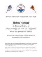Hobby Horsing in Schwansen!! Schleswig-Holstein - Holzdorf Vorschau