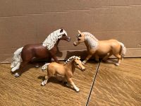 Schleich Pferd Pony Haflinger Familie Stute Fohlen Hengst Niedersachsen - Löningen Vorschau