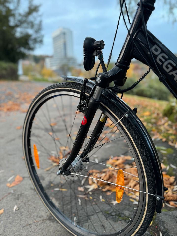 Pegasus Fahrrad in Bergneustadt