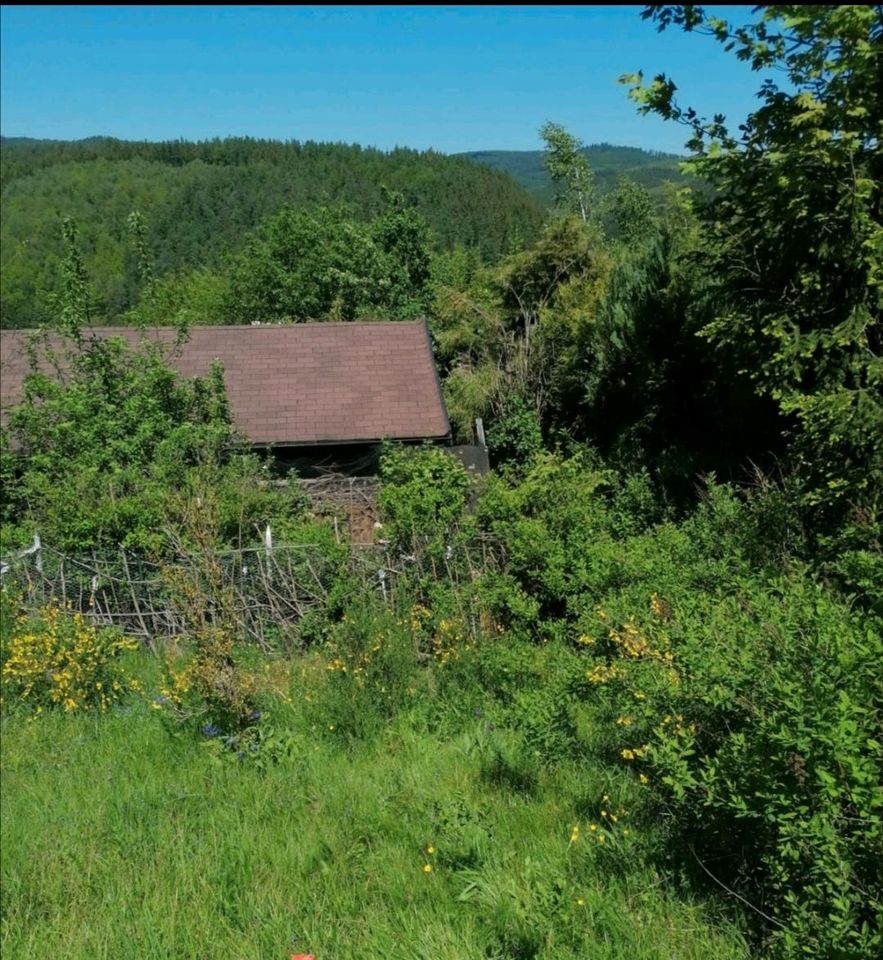 Bauplatz in Friedrichsdorf /Eberbach /Odenwald in Riedstadt