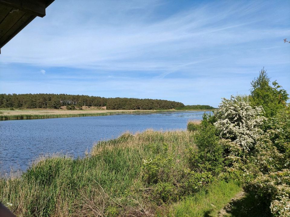 Ferienwohnung in Ziethen