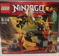 LEGO Ninjago 70753 Lava Fälle Cole Sleven Bayern - Wackersdorf Vorschau