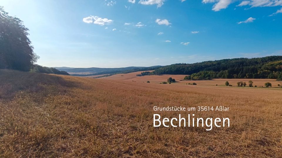 Fruchtbare Wiesen an Bächen, am Waldrand, Weitblick, Tiny House in Aßlar