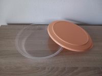 Tupperware / Tupper Tafelperle 1,3l flach ovp flache schüssel neu Nordrhein-Westfalen - Issum Vorschau