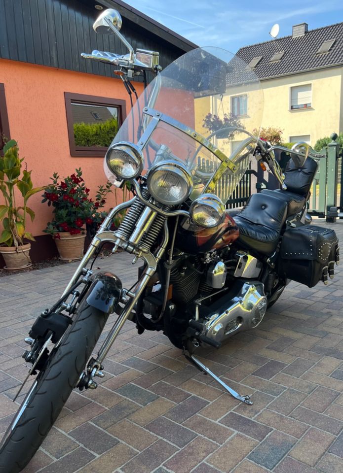 Harley Davidson Softail mit Springergabel in Berlin